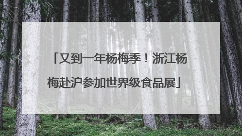 又到一年杨梅季！浙江杨梅赴沪参加世界级食品展