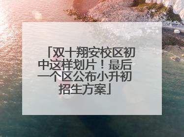 双十翔安校区初中这样划片！最后一个区公布小升初招生方案