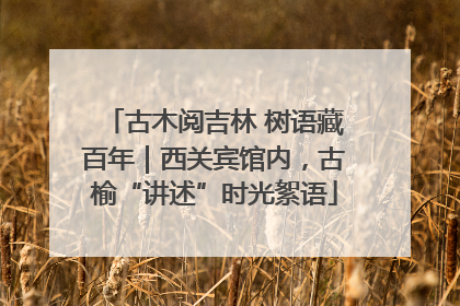 古木阅吉林 树语藏百年｜西关宾馆内，古榆“讲述”时光絮语