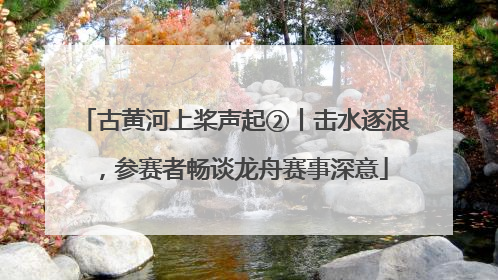 古黄河上桨声起②丨击水逐浪，参赛者畅谈龙舟赛事深意