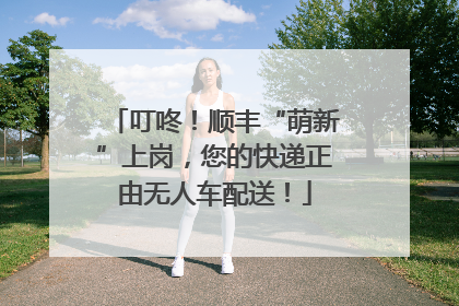 叮咚！顺丰“萌新”上岗，您的快递正由无人车配送！