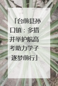 台前县孙口镇：多措并举护航高考助力学子逐梦前行