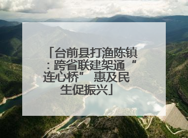 台前县打渔陈镇：跨省联建架通“连心桥” 惠及民生促振兴