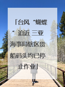 台风“蝴蝶”迫近 三亚海事局辖区货船码头均已停止作业
