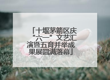 十堰茅箭区庆“六一”文艺汇演暨五育并举成果展圆满落幕