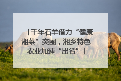 千年石羊借力“健康湘菜”突围，湘乡特色农业加速“出省”