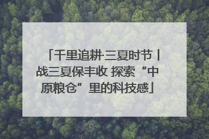 千里追耕·三夏时节丨战三夏保丰收 探索“中原粮仓”里的科技感
