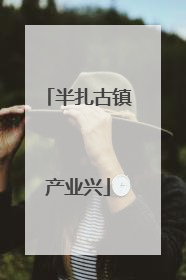 半扎古镇产业兴