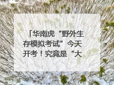 华南虎“野外生存模拟考试”今天开考！究竟是“大猫” 还是顶级猎食者？