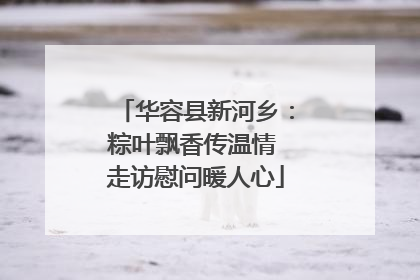 华容县新河乡：粽叶飘香传温情 走访慰问暖人心