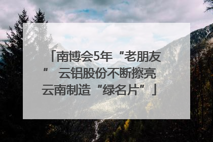 南博会5年“老朋友” 云铝股份不断擦亮云南制造“绿名片”