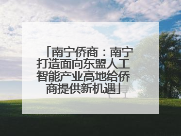 南宁侨商：南宁打造面向东盟人工智能产业高地给侨商提供新机遇