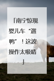 南宁惊现婴儿车“遛鸭”！这波操作太吸睛