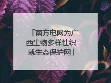 南方电网为广西生物多样性织就生态保护网