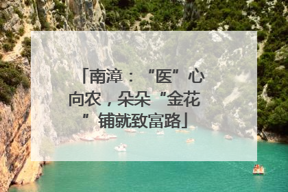 南漳：“医”心向农，朵朵“金花”铺就致富路
