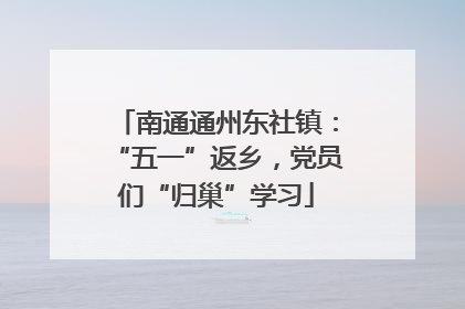 南通通州东社镇：“五一”返乡，党员们“归巢”学习