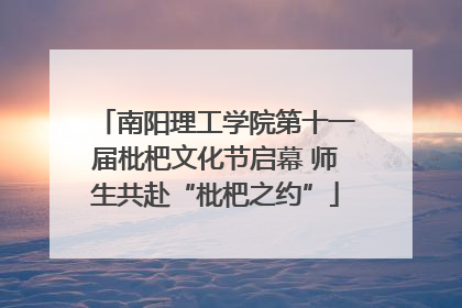 南阳理工学院第十一届枇杷文化节启幕 师生共赴“枇杷之约”