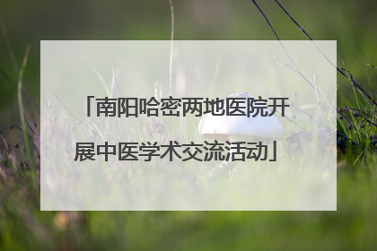 南阳哈密两地医院开展中医学术交流活动