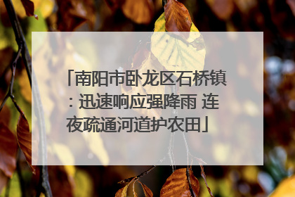 南阳市卧龙区石桥镇：迅速响应强降雨 连夜疏通河道护农田