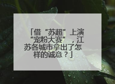 借“苏超”上演“宠粉大赛”，江苏各城市拿出了怎样的诚意？
