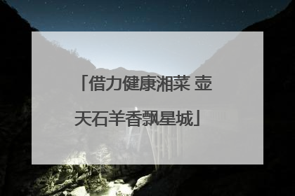 借力健康湘菜 壶天石羊香飘星城