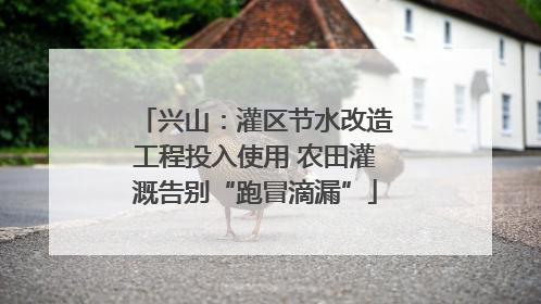 兴山：灌区节水改造工程投入使用 农田灌溉告别“跑冒滴漏”