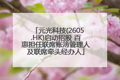 元光科技(2605.HK)启动招股 百惠担任联席账簿管理人及联席牵头经办人