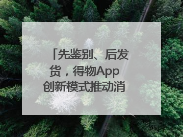 先鉴别、后发货，得物App创新模式推动消费正品化升级