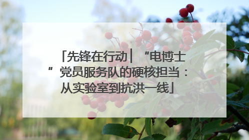 先锋在行动 ▏“电博士”党员服务队的硬核担当：从实验室到抗洪一线