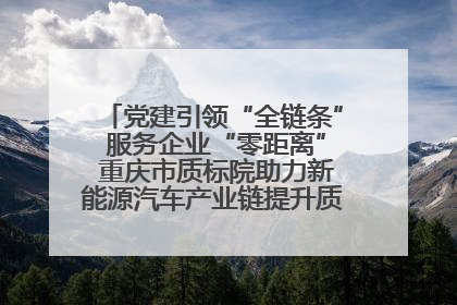 党建引领“全链条” 服务企业“零距离” 重庆市质标院助力新能源汽车产业链提升质量管理水平