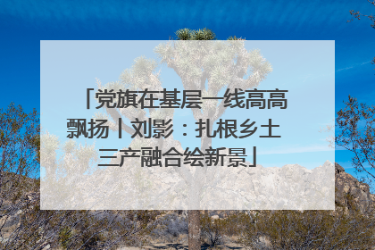 党旗在基层一线高高飘扬丨刘影：扎根乡土 三产融合绘新景