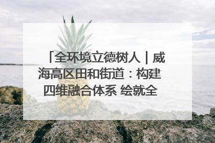 全环境立德树人｜威海高区田和街道：构建四维融合体系 绘就全环境立德树人新画卷