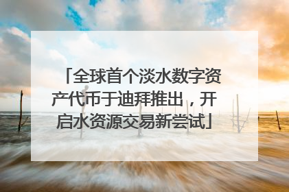 全球首个淡水数字资产代币于迪拜推出，开启水资源交易新尝试