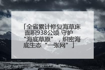全省累计修复海草床面积938公顷 守护“海底草原”，织密海底生态“一张网”