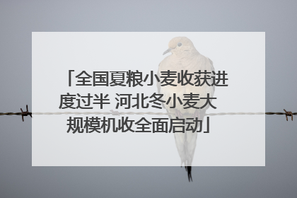 全国夏粮小麦收获进度过半 河北冬小麦大规模机收全面启动