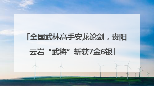 全国武林高手安龙论剑，贵阳云岩“武将”斩获7金6银