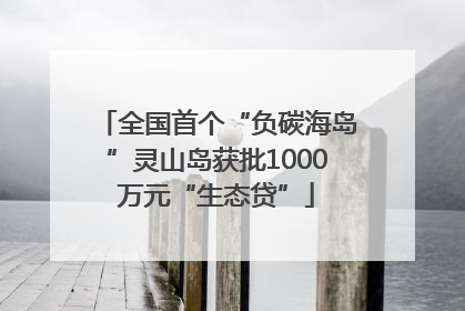 全国首个“负碳海岛”灵山岛获批1000万元“生态贷”
