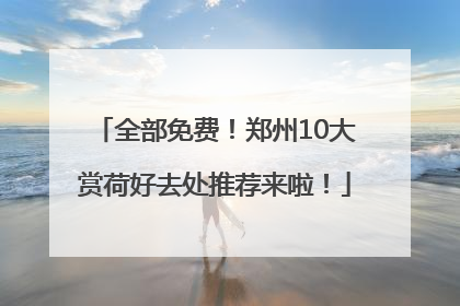 全部免费！郑州10大赏荷好去处推荐来啦！