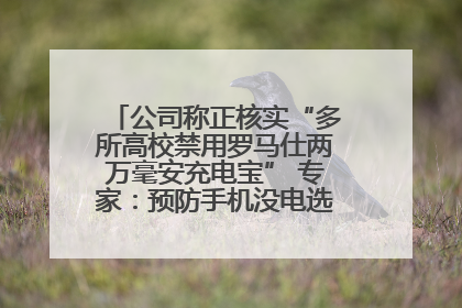 公司称正核实“多所高校禁用罗马仕两万毫安充电宝” 专家：预防手机没电选中等体积产品即可