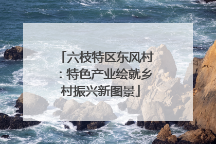 六枝特区东风村：特色产业绘就乡村振兴新图景