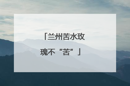 兰州苦水玫瑰不“苦”