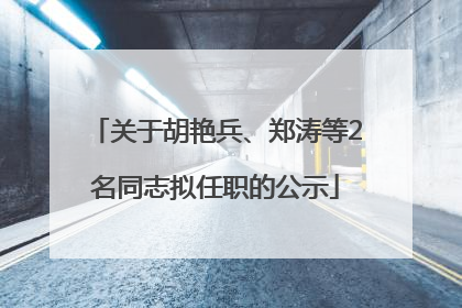关于胡艳兵、郑涛等2名同志拟任职的公示