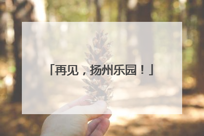 再见，扬州乐园！
