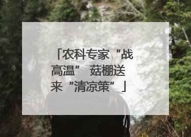 农科专家“战高温” 菇棚送来“清凉策”