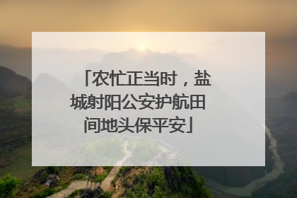 农忙正当时，盐城射阳公安护航田间地头保平安