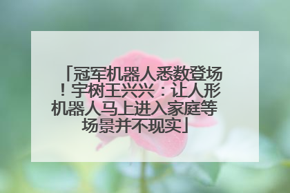 冠军机器人悉数登场！宇树王兴兴：让人形机器人马上进入家庭等场景并不现实