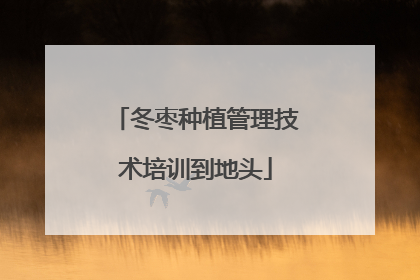 冬枣种植管理技术培训到地头