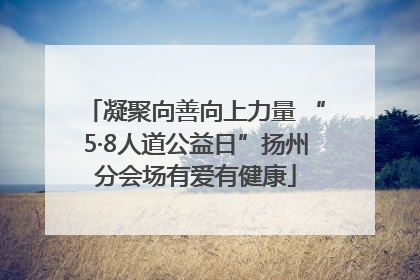 凝聚向善向上力量 “5·8人道公益日”扬州分会场有爱有健康