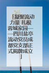 凝聚流动力量 扎根蓉城家园——四川盐亭流动党员成都党支部正式揭牌成立