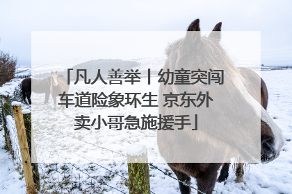 凡人善举丨幼童突闯车道险象环生 京东外卖小哥急施援手